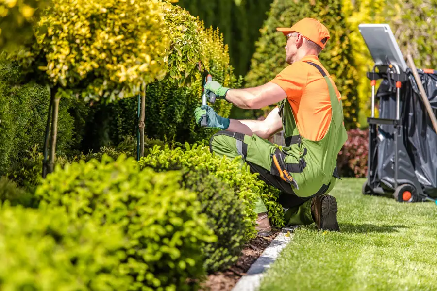 Professional Landscape Services