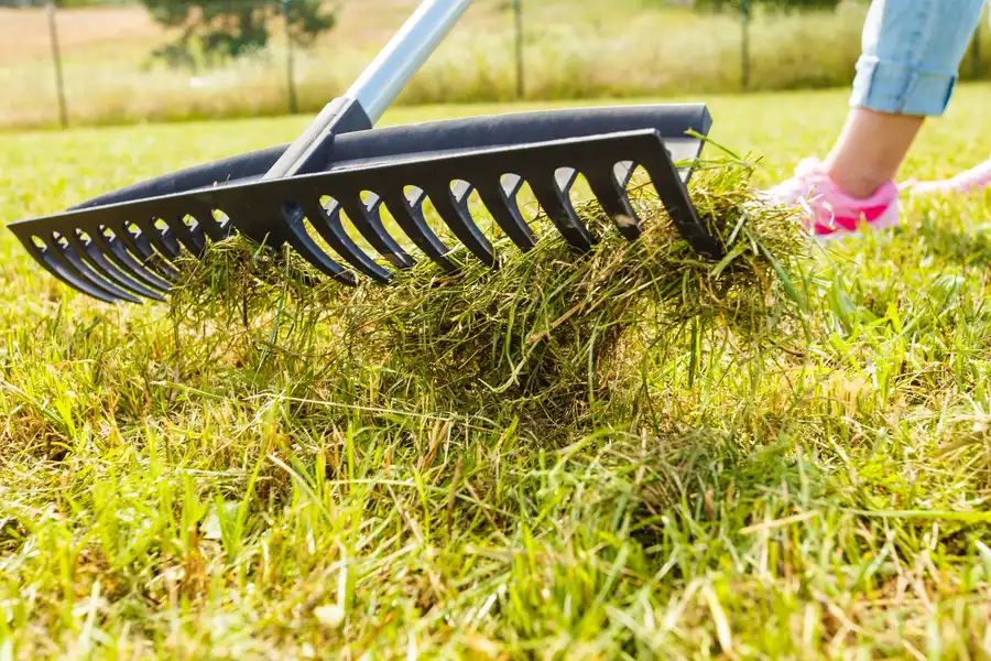 Affordable Weeding Lady Lake, FL Affordable Weeding Lady Lake, FL