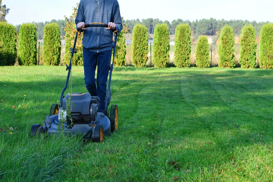 Essential Lawn Mowing Techniques For An Even Finish Lady Lake, FL Essential Lawn Mowing Techniques For An Even Finish Lady Lake, FL