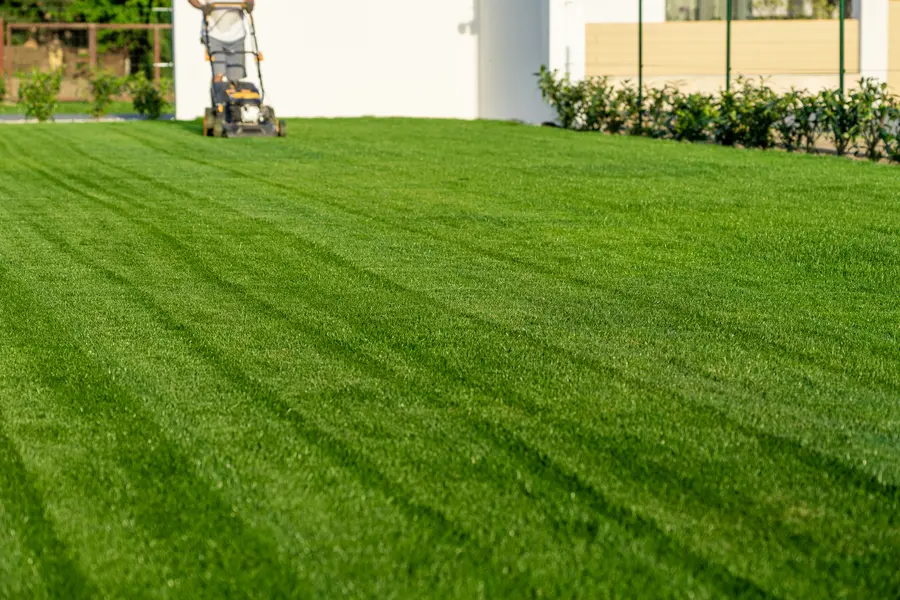 Essential Lawn Mowing Techniques For An Even Finish in Lady Lake, FL Essential Lawn Mowing Techniques For An Even Finish in Lady Lake, FL