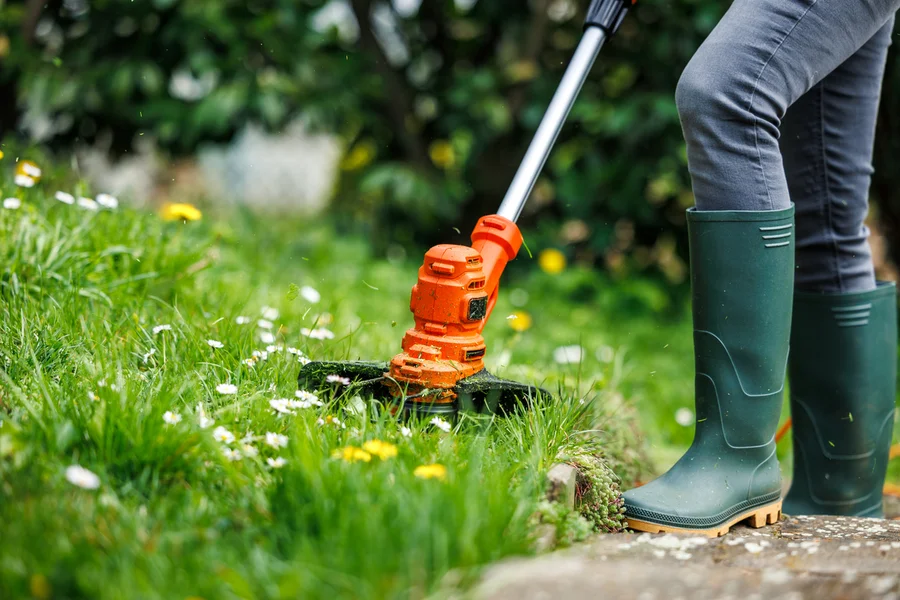 Experienced Lawn Care Lady Lake, FL Experienced Lawn Care Lady Lake, FL