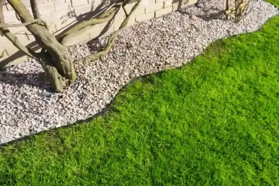 How Lawn Edging Prevents Weed Growth And Soil Erosion in Lady Lake, FL
