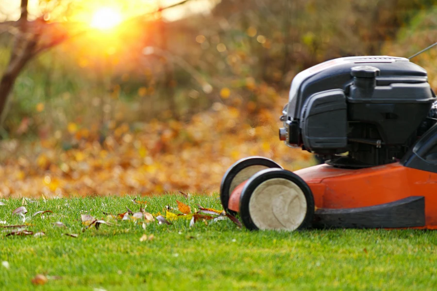 Lawn Care Mistakes To Avoid For A Healthier Lawn in Lady Lake, FL Lawn Care Mistakes To Avoid For A Healthier Lawn in Lady Lake, FL