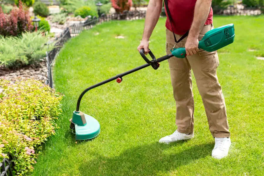 Local Lawn Care Lady Lake, FL Local Lawn Care Lady Lake, FL