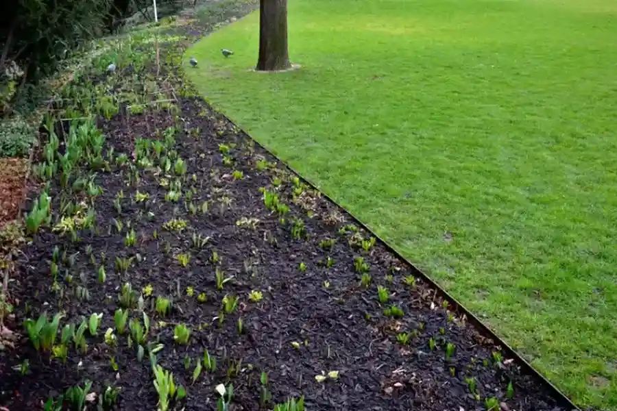 Quality Lawn Edging Lady Lake, FL Quality Lawn Edging Lady Lake, FL