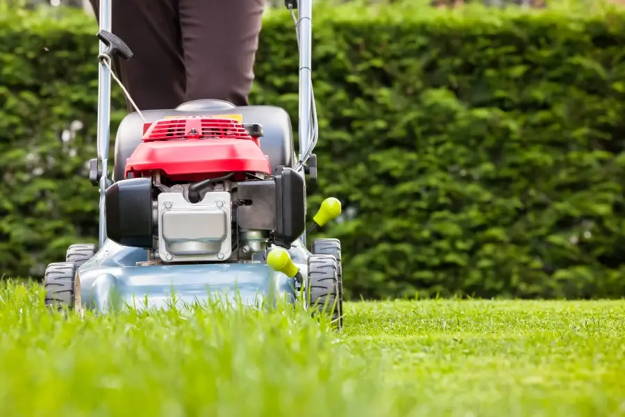 Seasonal Considerations For Effective Lawn Mowing Lady Lake, FL