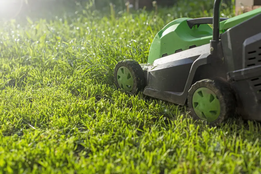 Seasonal Considerations For Effective Lawn Mowing in Lady Lake, FL