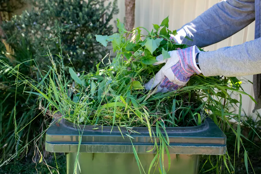 Understanding Invasive Weeds And How To Control Them Lady Lake, FL Understanding Invasive Weeds And How To Control Them Lady Lake, FL